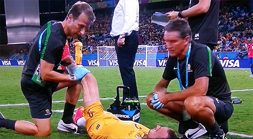 Water carrier in use at the World Cup