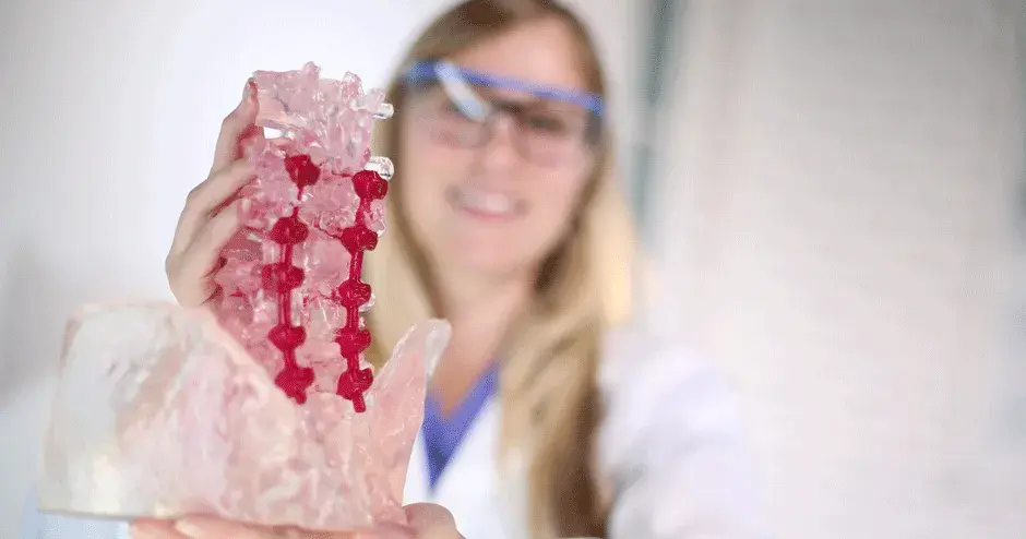 3D Systems healthcare SLA spine anatomical model with surgeon
