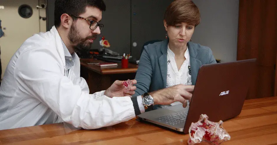 モデルを持つ D2P ソフトウェアユーザー