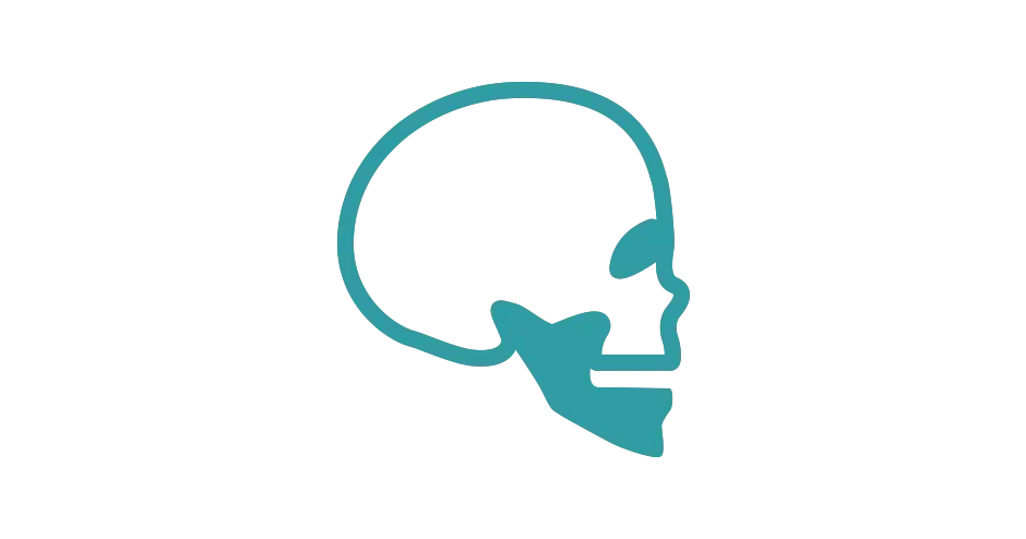 an icon representing a skull