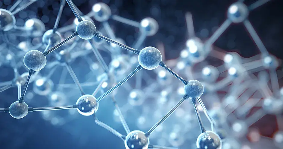 タンパク質の画像