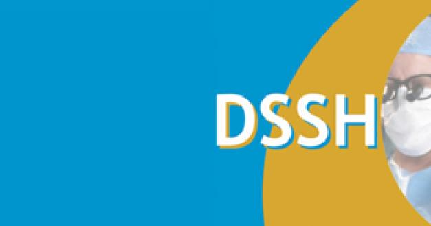dssh dutch society for simulation in healthcare 3d systems